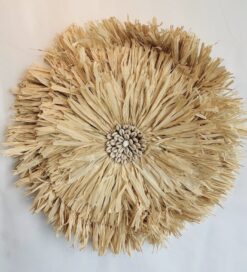 WALL DECOR SHELLS