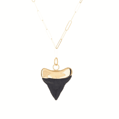 COLLAR Megalodon Resin Small black/gold - Imagen 2