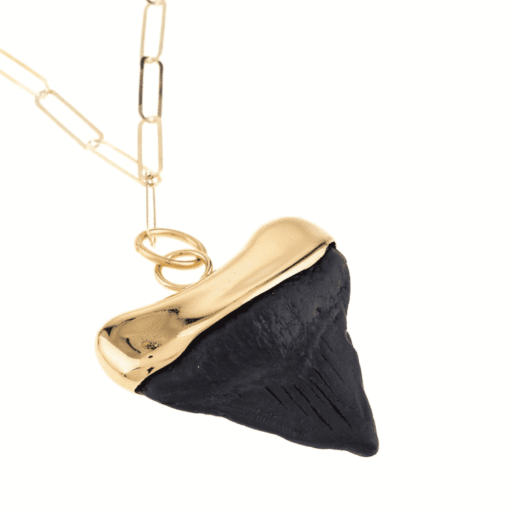 COLLAR Megalodon Resin Small black/gold