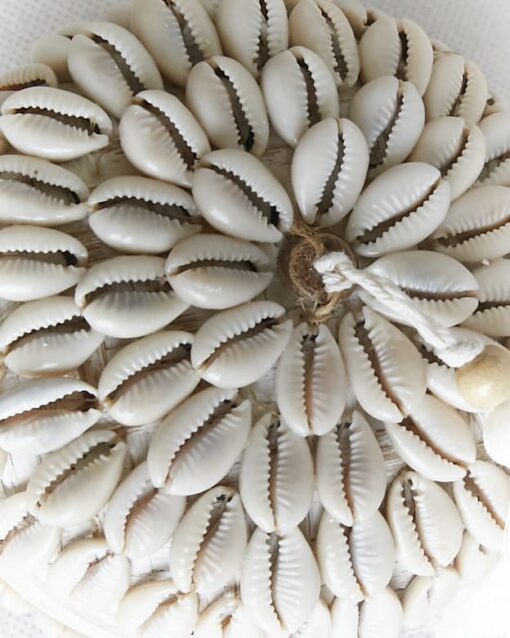 CAJITA TARIFA SHELLS BLANCO - Imagen 5