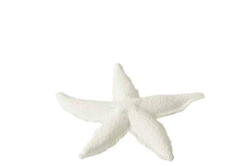 Estrella de Mar pequeña - Imagen 2