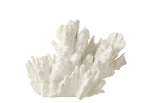 Coral grande - Image 2